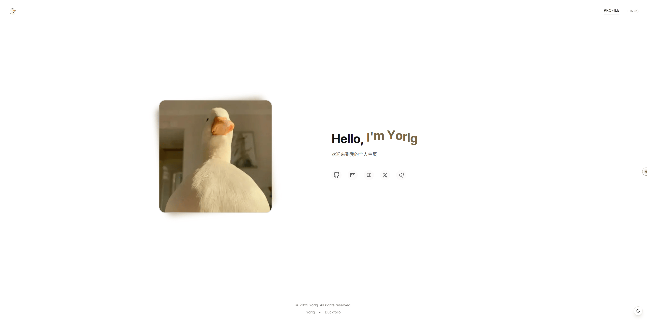 Duckfolio:简洁、现代、有趣的个人主页模板