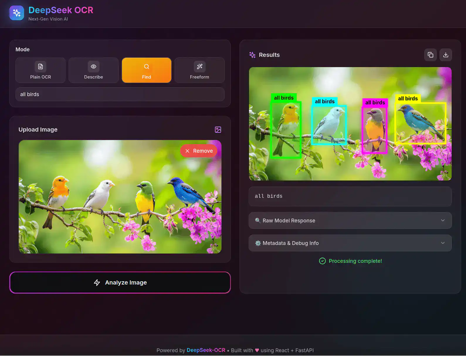 All birds品种丰富色彩鲜艳,栖息在繁花似锦的春日树枝上,展现自然生态之美.