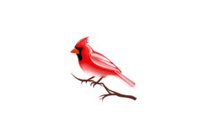 Cardinal:开源 macOS 快速文件搜索工具,支持多种搜索模式,支持区分大小写和正则表达式