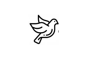 Cryptgeon:阅后即焚网站,消息只显示一次,之后自动销毁,保护隐私必备